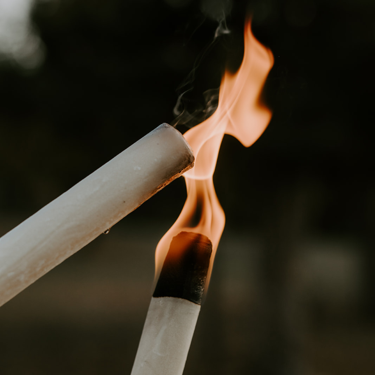 FÁKLYA TIPPEK - ÍGY HASZNÁD TERMÉKÜNKET